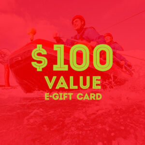 e-Gift Card - $100 Value