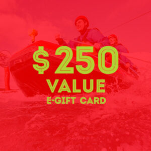e-Gift Card - $250 Value